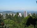 Portland 55